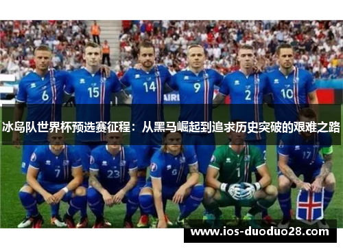 冰岛队世界杯预选赛征程：从黑马崛起到追求历史突破的艰难之路