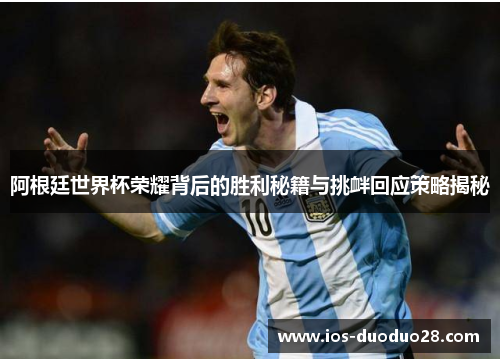 阿根廷世界杯荣耀背后的胜利秘籍与挑衅回应策略揭秘