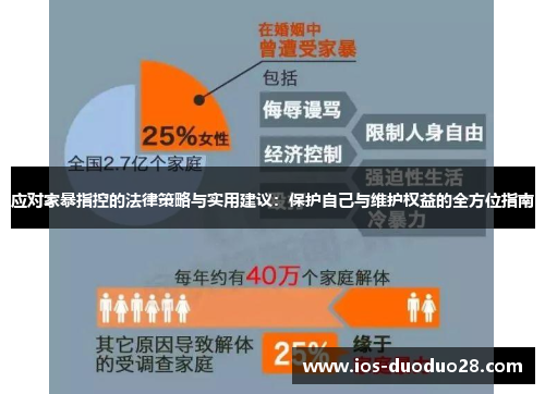 应对家暴指控的法律策略与实用建议：保护自己与维护权益的全方位指南