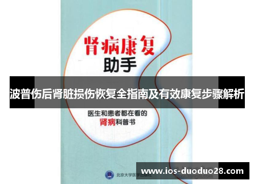 波普伤后肾脏损伤恢复全指南及有效康复步骤解析