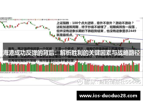 海港成功反弹的背后:解析胜利的关键因素与战略路径 海港成功反弹的背后:解析胜利的关键因素与战略路径