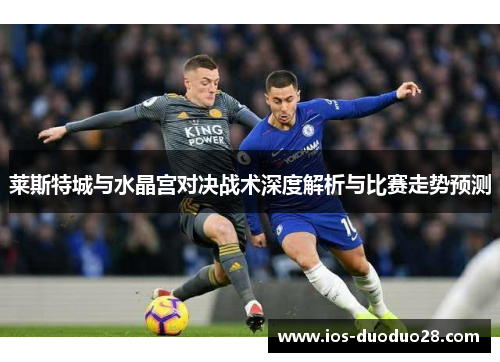莱斯特城与水晶宫对决战术深度解析与比赛走势预测