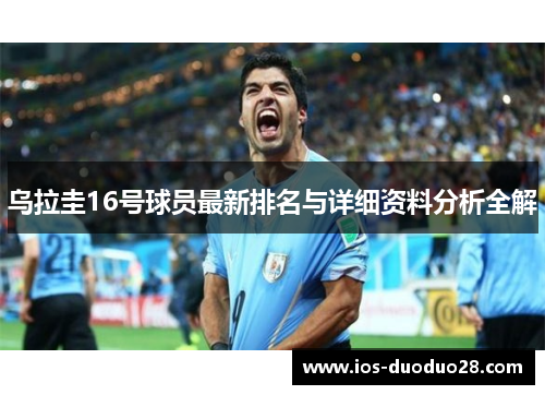 乌拉圭16号球员最新排名与详细资料分析全解
