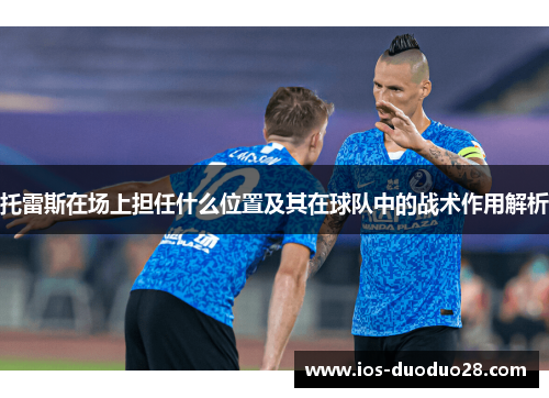 托雷斯在场上担任什么位置及其在球队中的战术作用解析