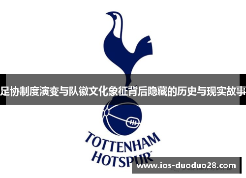 足协制度演变与队徽文化象征背后隐藏的历史与现实故事 足协制度演变与队徽文化象征背后隐藏的历史与现实故事