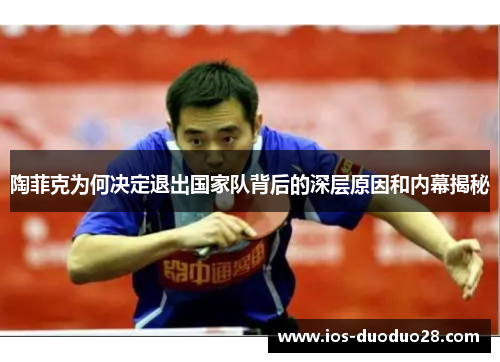 陶菲克为何决定退出国家队背后的深层原因和内幕揭秘