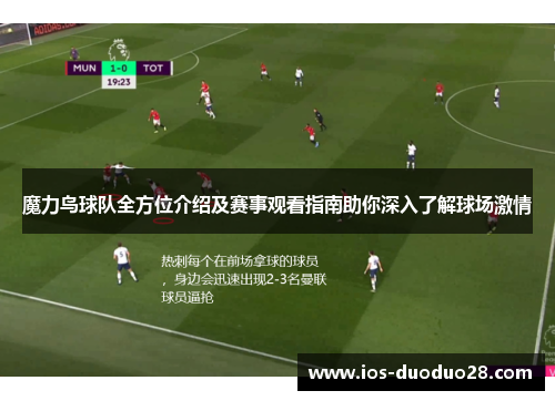 魔力鸟球队全方位介绍及赛事观看指南助你深入了解球场激情 魔力鸟球队全方位介绍及赛事观看指南助你深入了解球场激情