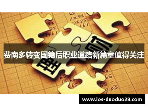 费南多转变国籍后职业道路新篇章值得关注