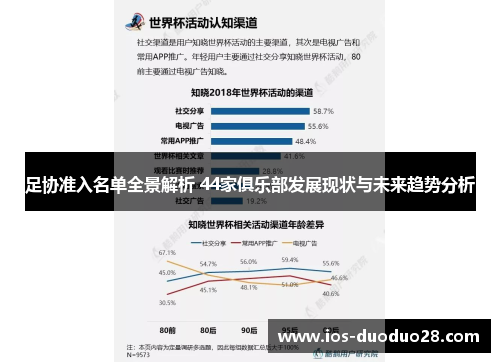 足协准入名单全景解析 44家俱乐部发展现状与未来趋势分析
